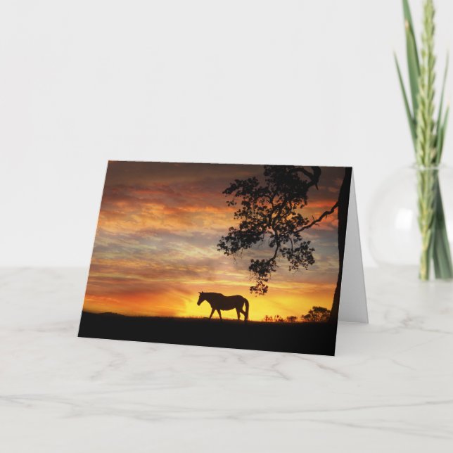 Pferd in der pferdeartigen Beileidskarte des Karte (Vorderseite)