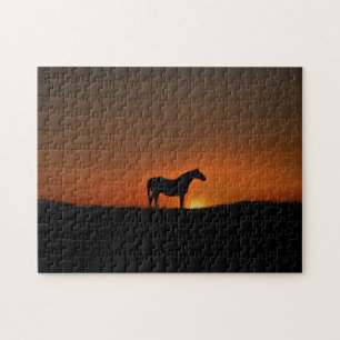 Pferd in der Sonne