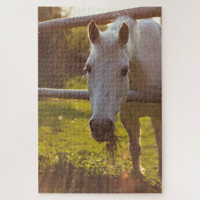Pferd in der Weide (Vertikal)