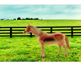 Pferd in der Weide Kissen