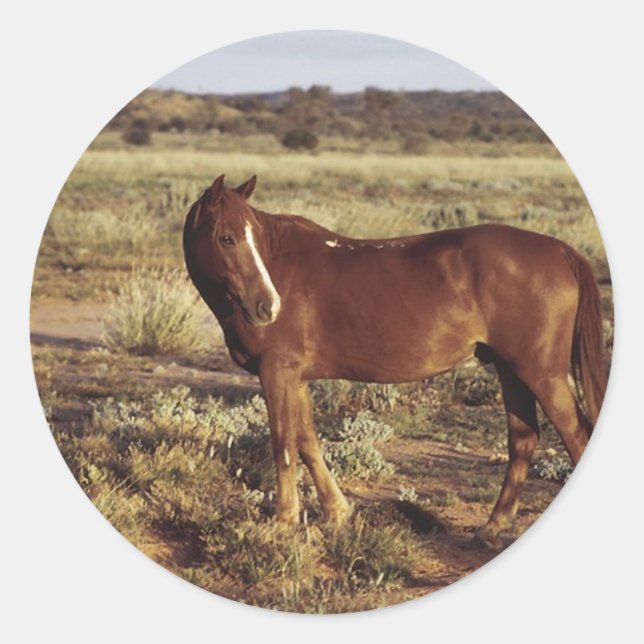 Pferd in der Weide Runder Aufkleber (Vorderseite)