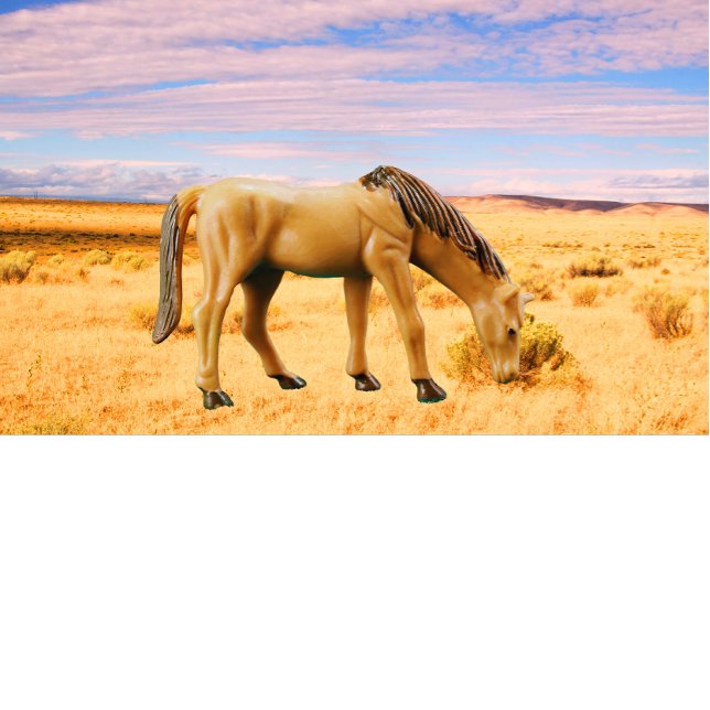 Pferd in der Weide T-Shirt (Von Creator hochgeladen)