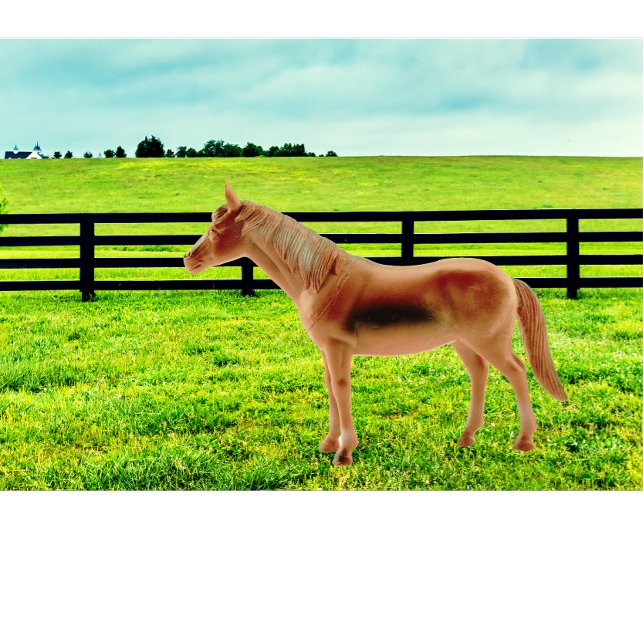 Pferd in der Weide T-Shirt (Von Creator hochgeladen)