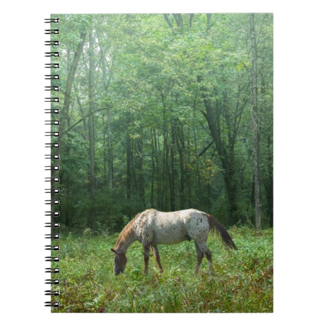 Pferd in der Wiese Notizblock (Vorderseite)