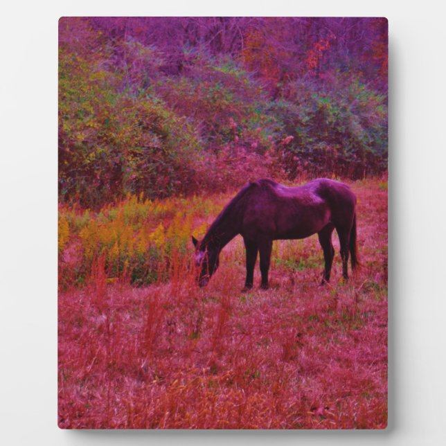 Pferd in einem kaleidoskopfarbenen Feld Fotoplatte (Vorderseite)