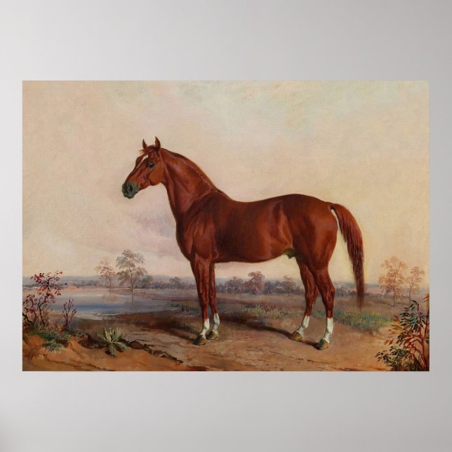 Pferd in einer Landschaft Vintage Kunst Poster (Vorne)