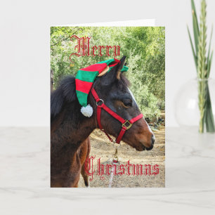 Pferd in elf geflochtene Weihnachtskarte Feiertagskarte