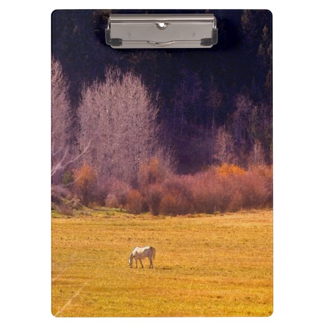 Pferd in Fall I Klemmbrett (Vorderseite)