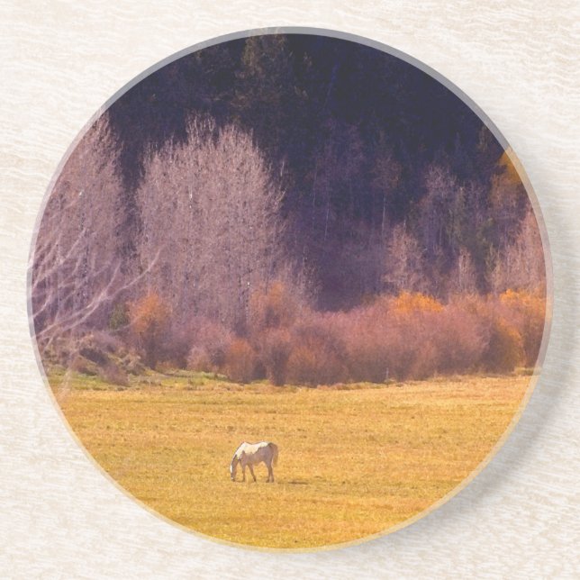 Pferd in Fall I Sandstein Untersetzer (Vorne)