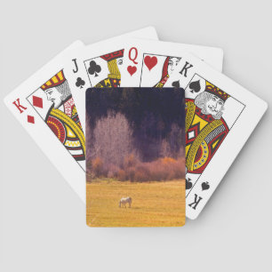 Pferd in Fall I Spielkarten