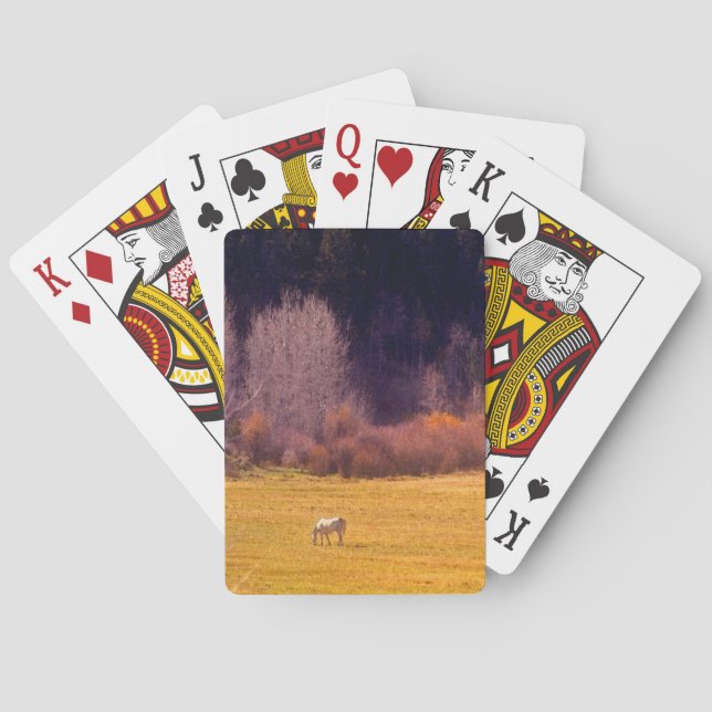Pferd in Fall I Spielkarten (Rückseite)