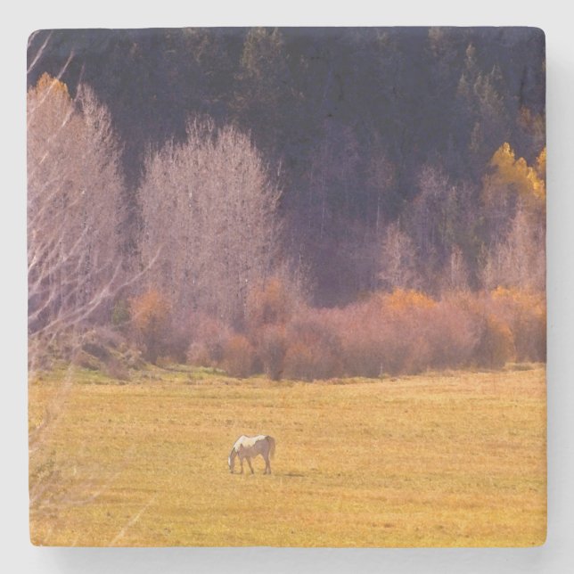 Pferd in Fall I Steinuntersetzer (Vorderseite)