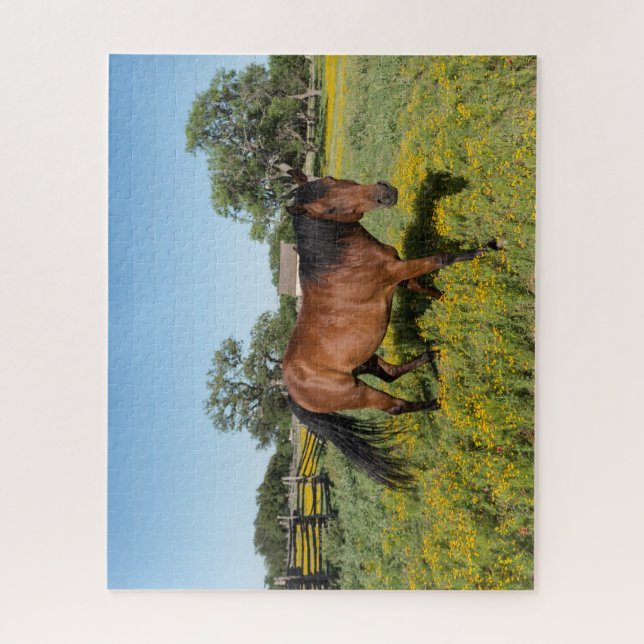 Pferd in Medow (Vertikal)