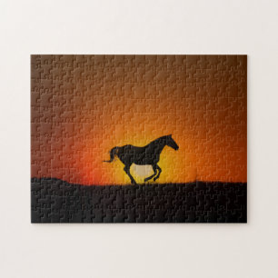 Pferd in Orange Sunset Challenging