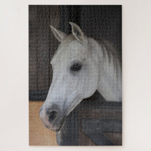 Pferd in Stall