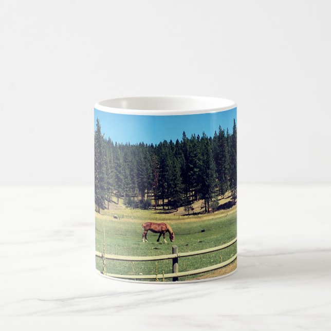 Pferd in Weide Kaffeetasse (Mittel)