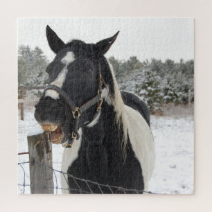 Pferd Kauen einen Zaun Post im Schnee