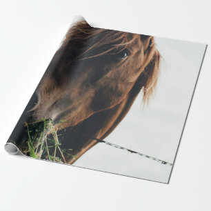 PFERD KAUT GRAS GESCHENKPAPIER