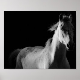 Pferd, Kunstfotografie-Poster Poster