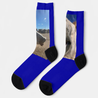 Pferd Lächelt Socken