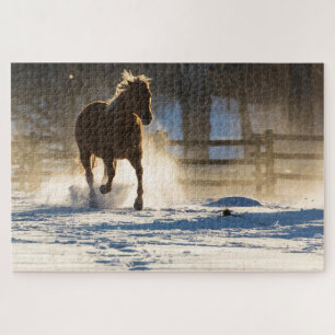 Pferd läuft durch den Schnee