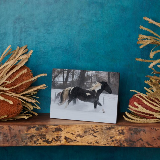 Pferd läuft durch den Schnee Fotoplatte (Seite)