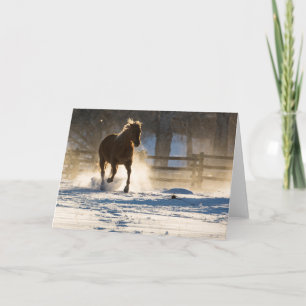 Pferd läuft durch den Schnee Karte