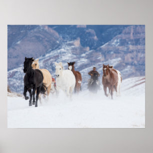 Pferd läuft durch den Schnee Poster