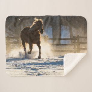 Pferd läuft durch den Schnee Sherpadecke