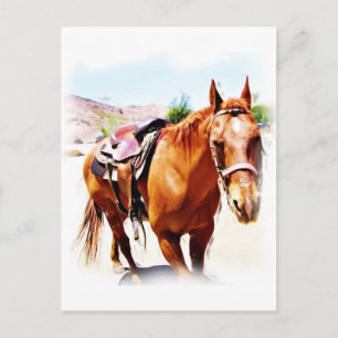 Pferd Lover_ Postkarte