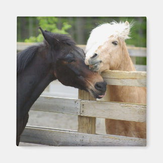 Pferd Lovin' Magnet