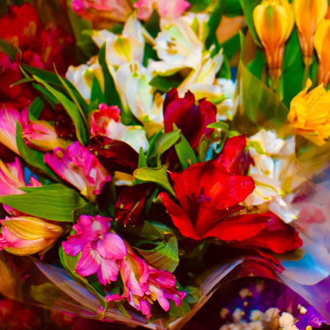 Pferd Lunchbox (floral beauty)