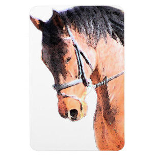 Pferd Magnet