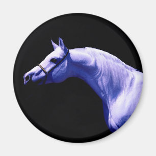 Pferd Magnet