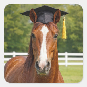 Pferd mit Absolventenhut Quadratischer Aufkleber