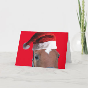 Pferd mit einem Weihnachtshut zu Weihnachten Karte