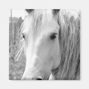 Pferd mit Gras Magnet