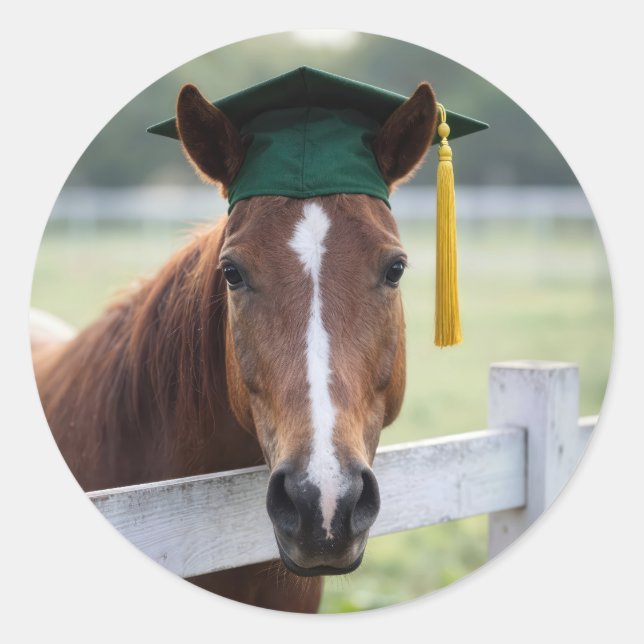 Pferd mit grüner Abschlussmütze Runder Aufkleber (Vorderseite)