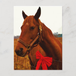 Pferd mit Red Bow Postkarte