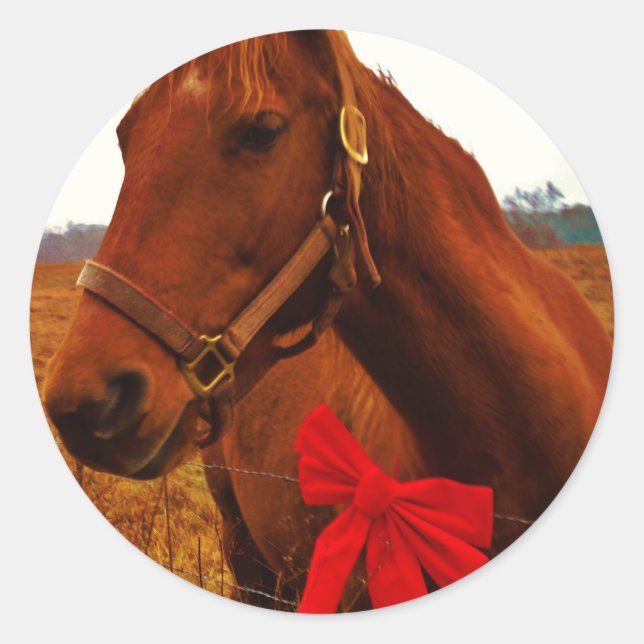 Pferd mit Red Bow Runder Aufkleber (Vorderseite)