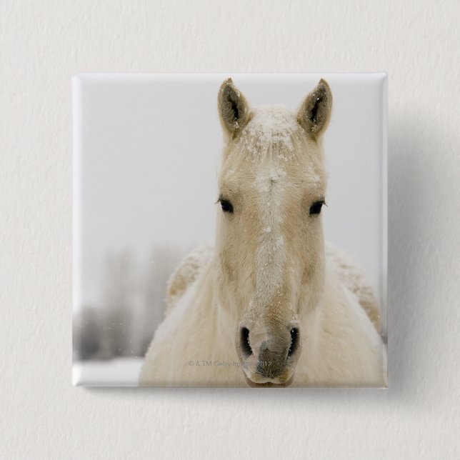 Pferd mit Schnee auf dem Kopf Button (Vorderseite)