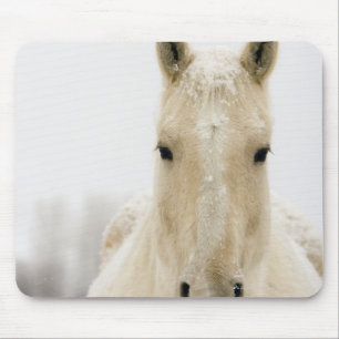 Pferd mit Schnee auf Kopf Mousepad