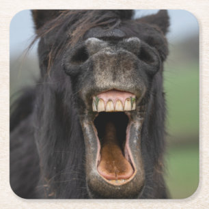 Pferd mit seinen Zähnen Rechteckiger Pappuntersetzer