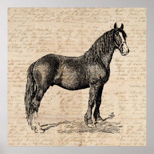 Pferd mit Skriptpapier Poster