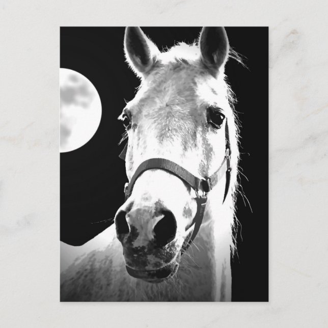 Pferd & Mond Postkarte (Vorderseite)