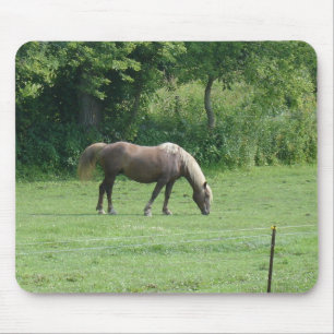 Pferd Mousepad