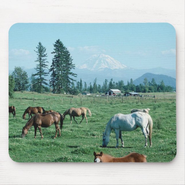 Pferd Mousepad (Vorne)