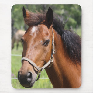 Pferd Mousepad