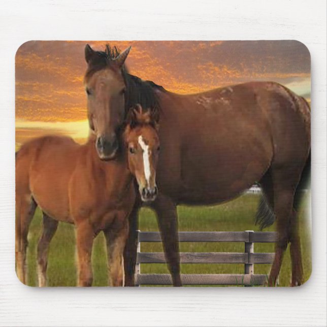 Pferd Mousepad (Vorne)