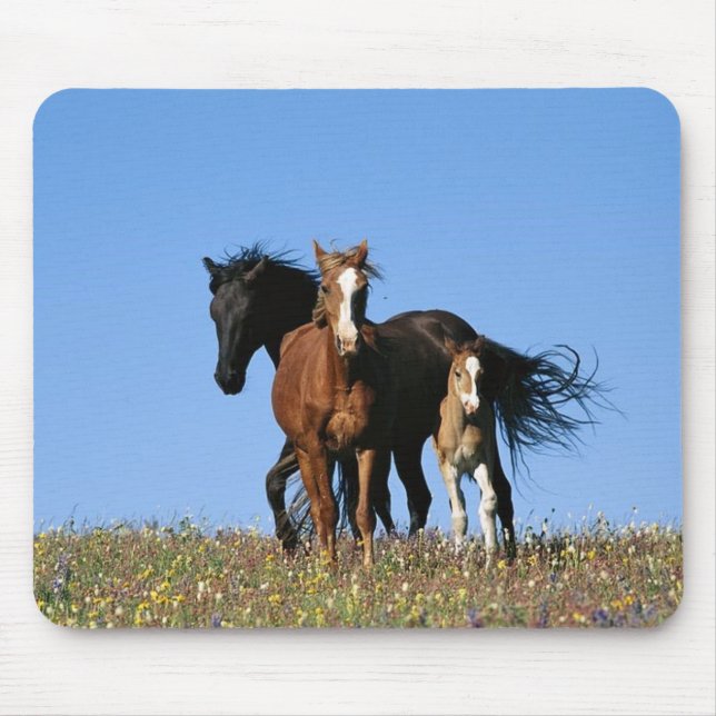 Pferd Mousepad (Vorne)